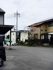 鮨懐石みどり
