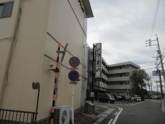 白ごまと黒ごま
