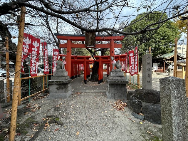 投稿写真6