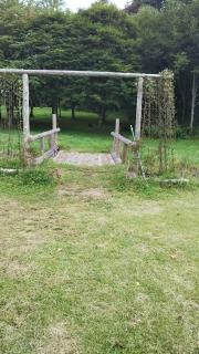 岩手県県民の森