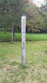 岩手県県民の森