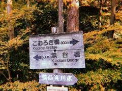 鶴仙渓