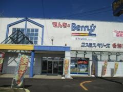 コスモスベリーズ各務原店