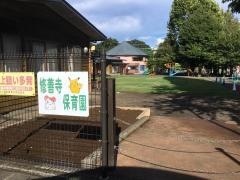 修善寺保育園