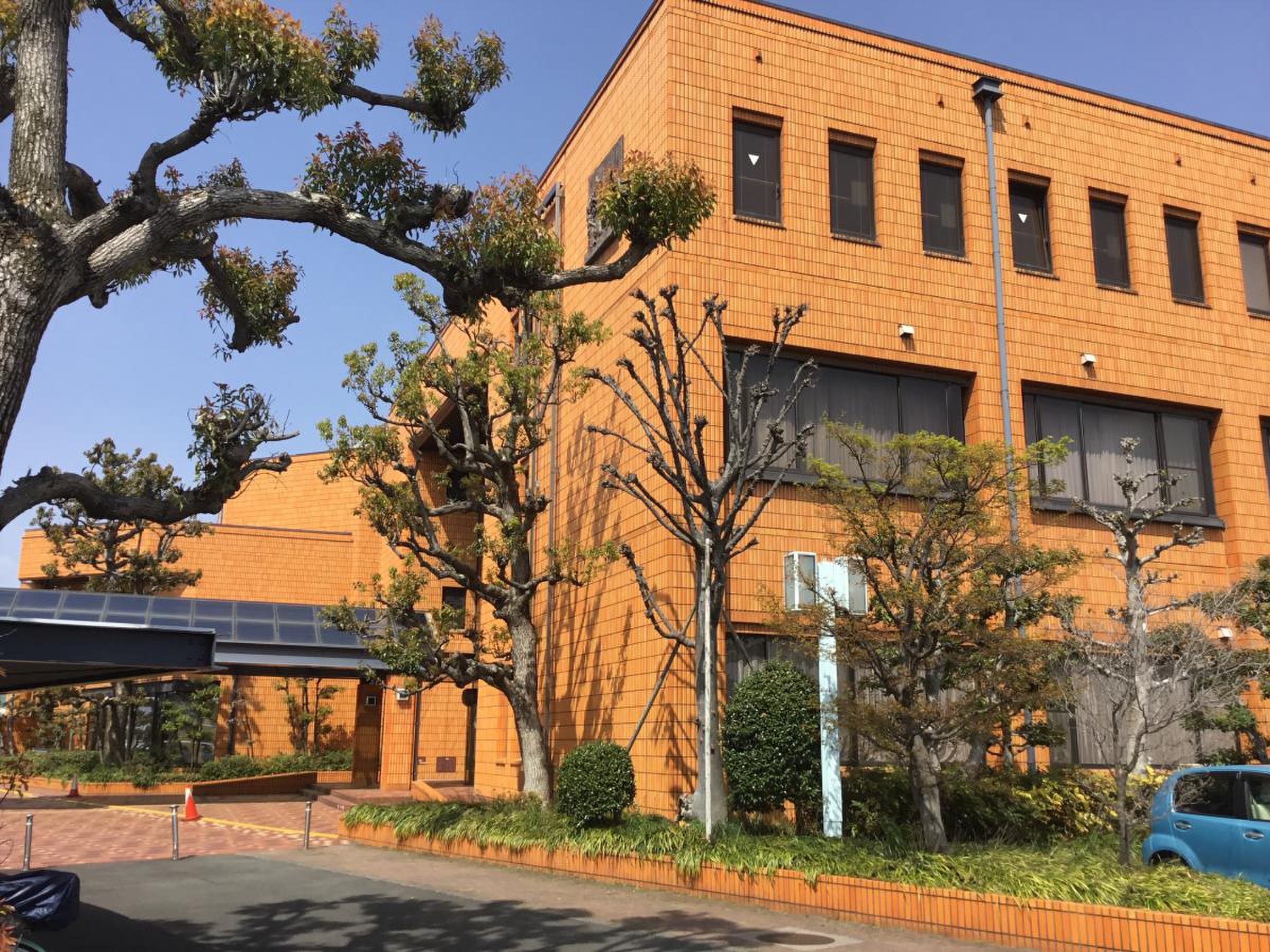 公の場での発言・インタビュー報道記録