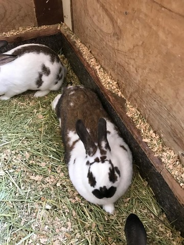 施設写真183