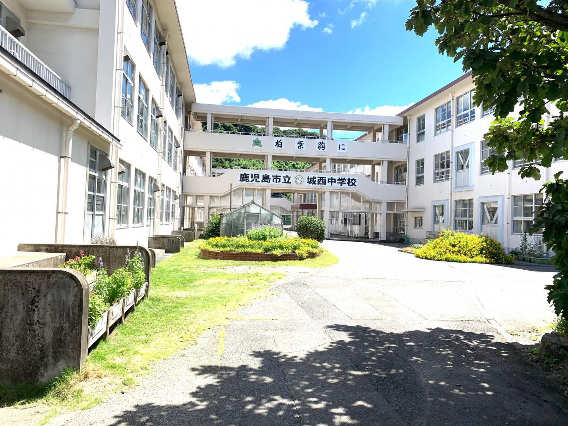 鹿児島 市立 城西 中学校