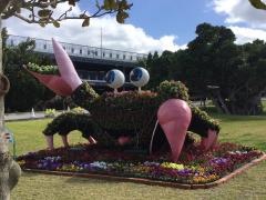 国営沖縄記念公園海洋博公園