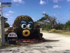 国営沖縄記念公園海洋博公園
