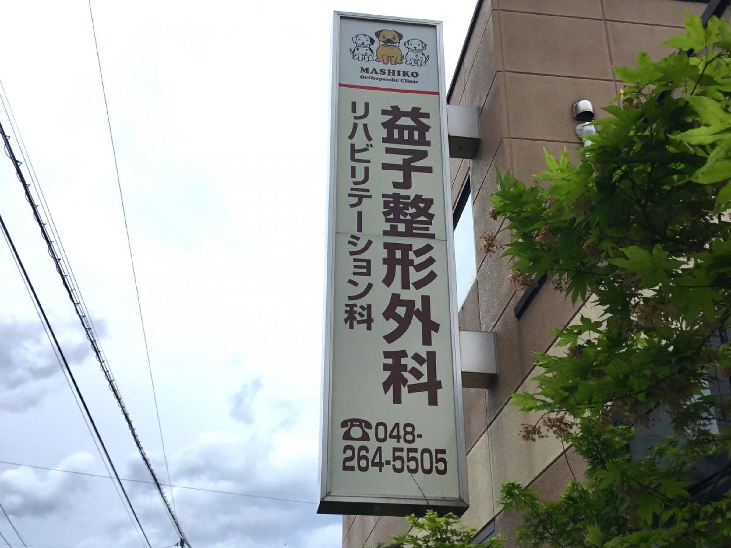 ます こ 整形 外科
