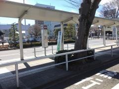 「日立駅中央口」バス停留所