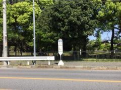 「芝川」バス停留所