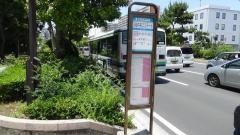 「入船中央エステート」バス停留所