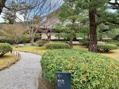 平等院庭園