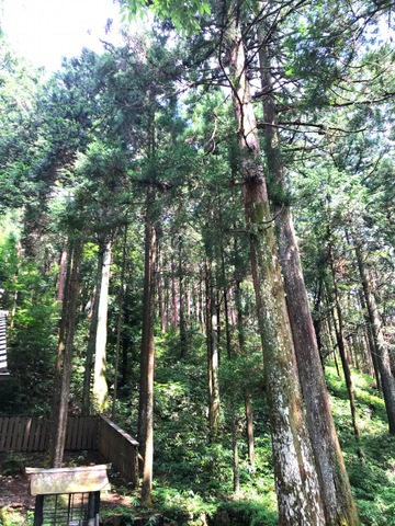 施設写真112
