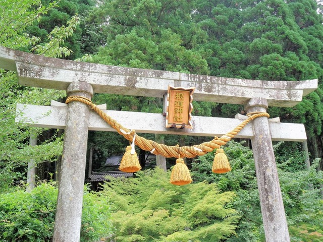 施設写真110