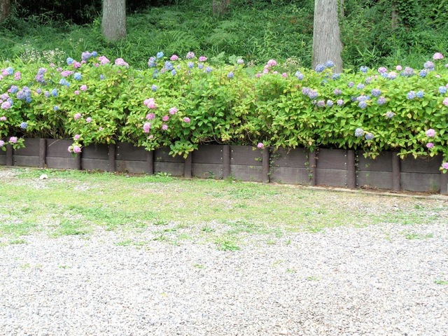 施設写真107