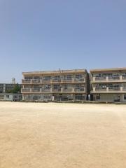 若葉小学校