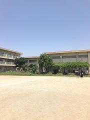 若葉小学校
