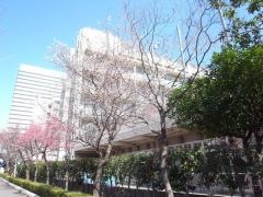 御成門小学校