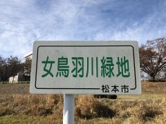 女鳥羽川緑地