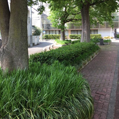 施設写真29