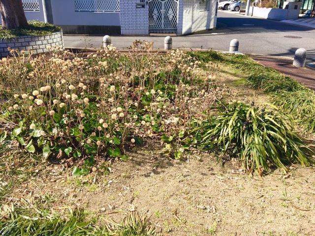 施設写真24