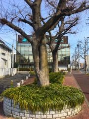 手木街園