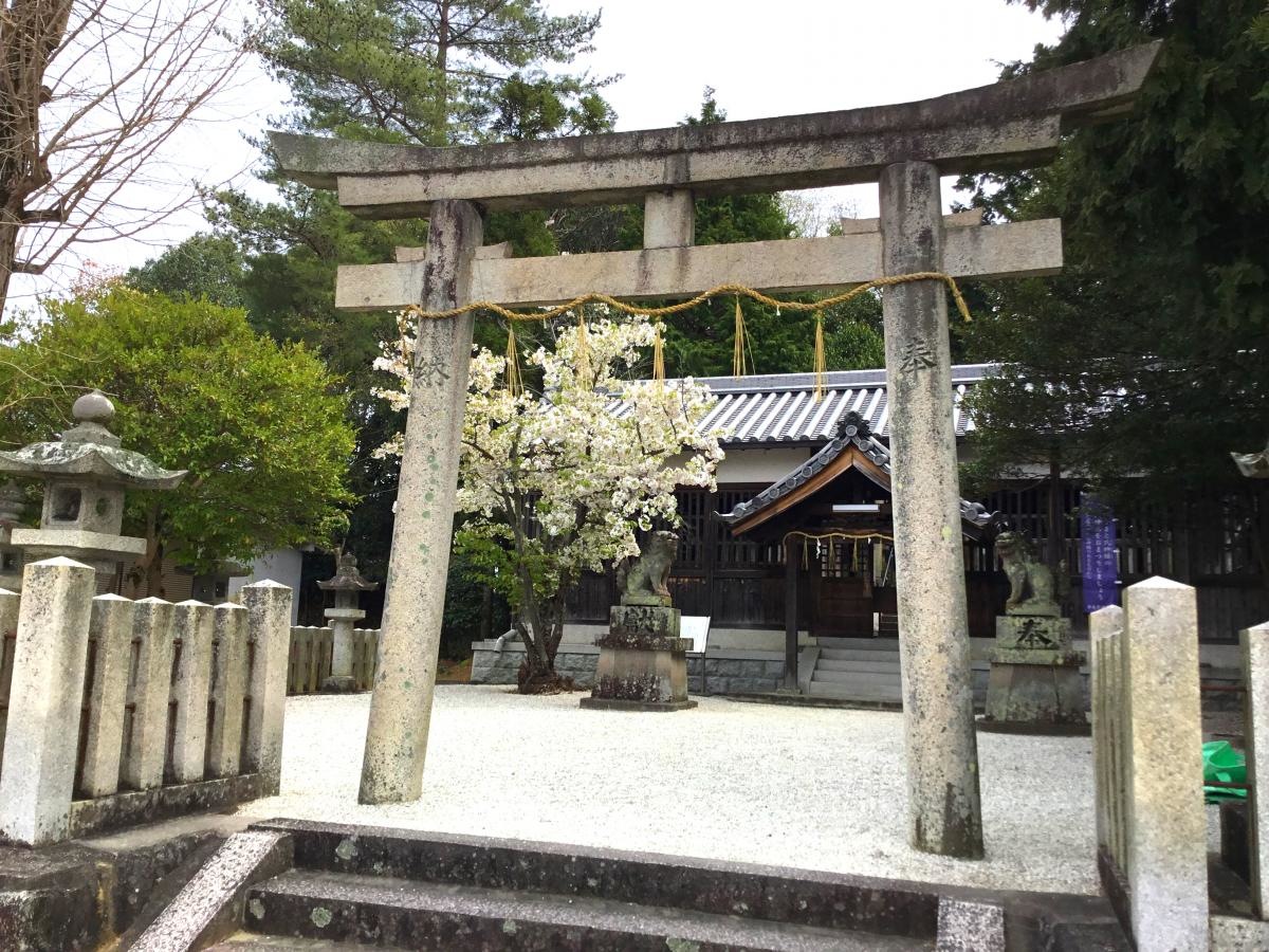 鳥居