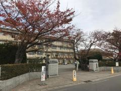 愛媛県立新居浜東高等学校