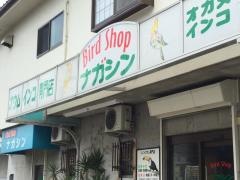 ナガシン