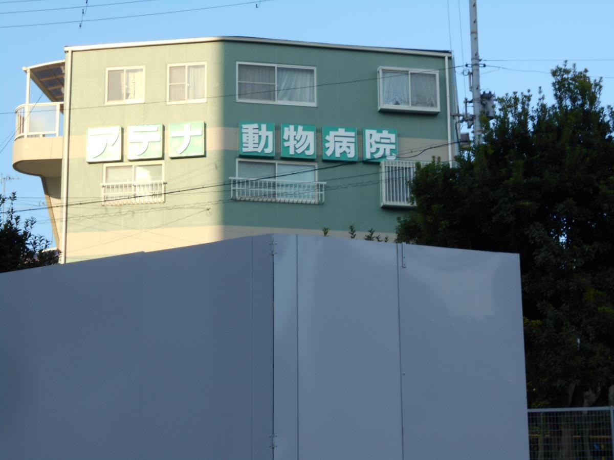 アテナ動物病院