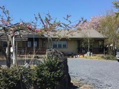 にれの木桃花寮