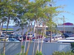 愛知ダイハツ　Ｕ－ＣＡＲ安城店