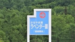 かなやま湖森林公園