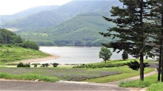 かなやま湖森林公園