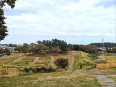 多賀城跡あやめ園