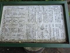 多賀城跡あやめ園
