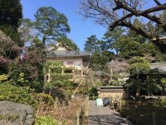 薬王院