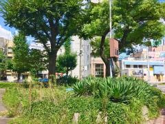 牛島北街園