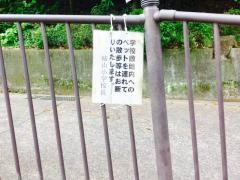 城山小学校