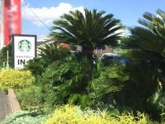 スターバックスコーヒー　さいたま大和田店