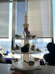 天空ＬＯＵＮＧＥ　ＴＯＰ　ｏｆ　ＴＲＥＥ