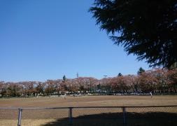 岩手県営運動公園野球場