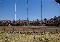 岩手県営運動公園野球場