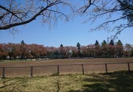 岩手県営運動公園野球場