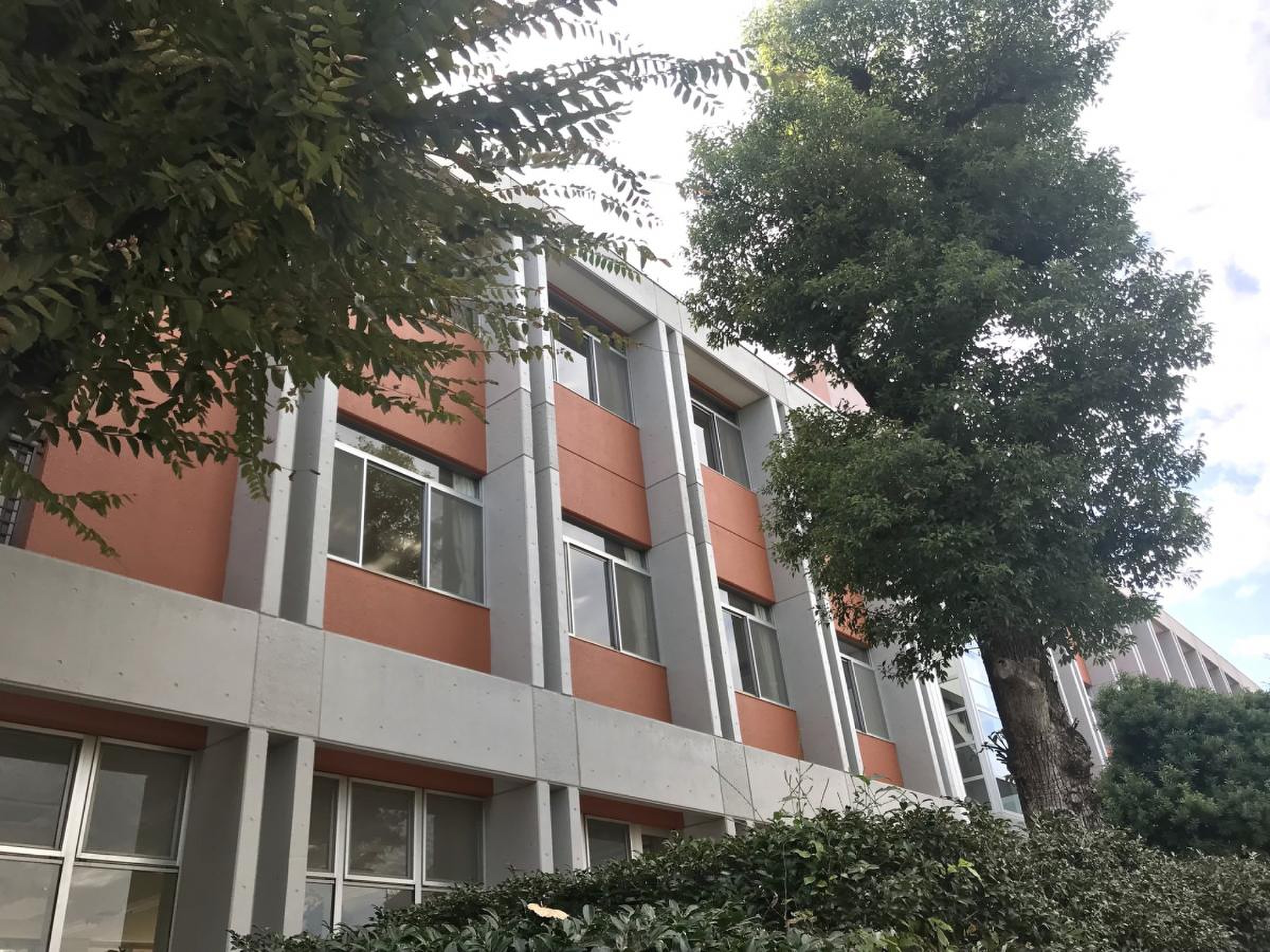 中京 法律 専門 学校