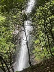 高滝