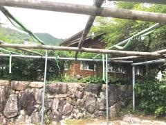 森のキッチン・やませみ