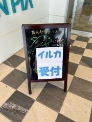 イルカクルージング遊覧船